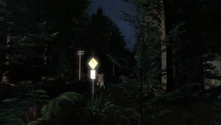 Pineview Drive